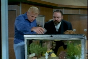 In preparation for the blessed event, they buy an aquarium and Bill dumps the fish in. (I don't think that's how you're supposed to transfer fish, is it?)